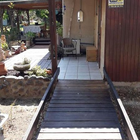 Kibbutz Hatzor A Room Close To Ashdod Hatzor Ashdod Bagian luar foto