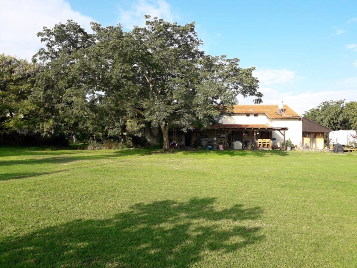 Kibbutz Hatzor A Room Close To Ashdod Hatzor Ashdod Bagian luar foto