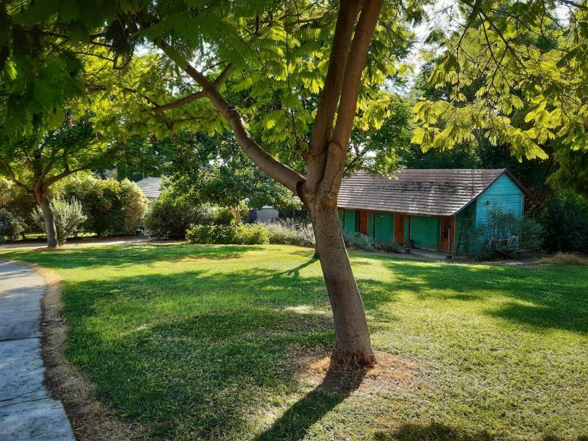 Kibbutz Hatzor A Room Close To Ashdod Hatzor Ashdod Bagian luar foto