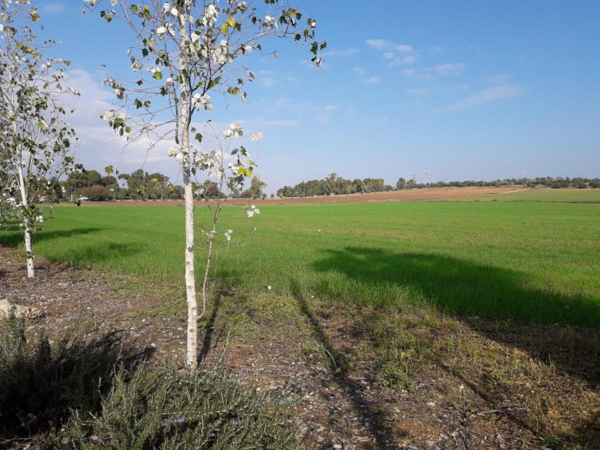Kibbutz Hatzor A Room Close To Ashdod Hatzor Ashdod Bagian luar foto